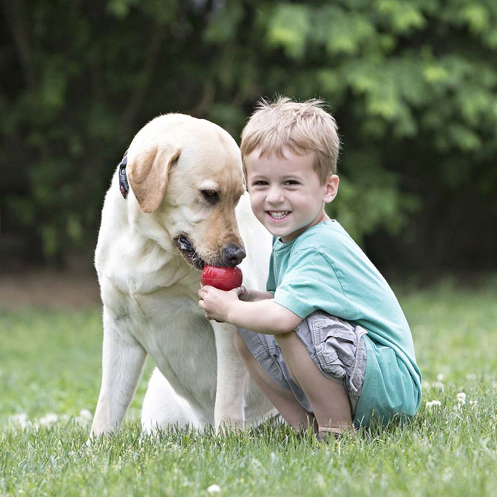 Unleash the Fun with Our Bite-Resistant Food Leakage Rubber Dog Toy!